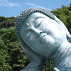 お盆の、南蔵院。
