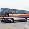 中部観光バス / 沖縄22き ・392