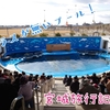 【宮城旅行記⑥】仙台にある水族館が面白過ぎた！【仙台うみの杜水族館】