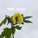 Knit_wato