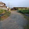 草刈りをしました🎵