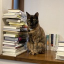 午睡読書記