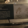 ２０１８／０８　国立科学博物館