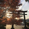 【下野・壬生・上川三町/御朱印巡り】訪問した神社とお寺のまとめ