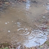 寒九の雨音を聞きながら