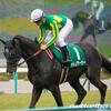 【神戸新聞杯】サトノアーサー２馬身半先着