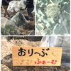 生活介護おりーぶ西昆陽 こやの里特別支援学校  現場実習3日目 農園 おりーぶファーム 農作業実習 http://www.olive-jp.co