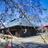 壬生の天平の丘公園