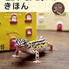 ヒョウモン飼いのきほん　ヒョウモントカゲモドキの食事から繁殖、飼育グッズ、病気のケアまで。