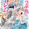 あと6日で滅びる崖っぷち国家のハーレムに召喚されてしまったraw/無料で読める？ネタバレ込みで魅力を徹底解説