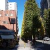 アーツ･アンド･クラフツとデザイン展に往ってきた