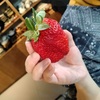 正月休みあけ1週目