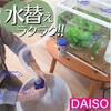 水槽の水換え ポンプ 100均ダイソーのクリーナーポンプがおすすめだよ☆