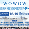 【あの興奮再び！】中津川ソーラー武道館がWOWOWで放送！参戦した僕は録画して楽しむよ！