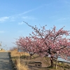 ばぁちゃんと、桜🌸