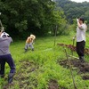 7月12日の活動報告　～サツマイモ植え、木下田の草取り、野菜の種まき、東畑の水田化準備～