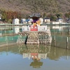 【岐阜県】八大白龍大神