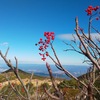 「ほんとの空」を見に安達太良山へ