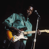 Gott Hear This~聴けこの一曲#119 Let Me Love You Baby/Buddy Guy