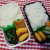 息子弁当　10/26