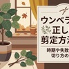 ウンベラータ正しい剪定方法は？おすすめの時期や失敗しない切り方