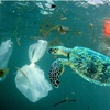 私たちの暮らし方とプラスチック問題について