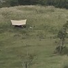 からだあっての！なのであります！