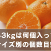 みかん3kgは何個入ってる？サイズ別の個数目安と最新相場