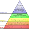 "Maslow’s Theory" Unit3 Discussion, BUS 5113: Organizational Theory and Behavior (University of the People)