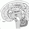 新ism、”感情のダダもれism”に関する提言