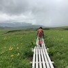 雨竜沼湿原 お花見山行