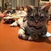 上司と面談しながら心で叫び続けていた私！これじゃスキルアップできないですかね？