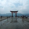 初カメラ旅行：大迫力の大鳥居に大興奮＆感動！
