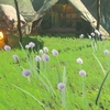 【ハイラル植物図鑑】ラグラス（Lagurus）