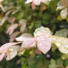 横浜にて