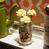 ジンクスとマーガレットの花束