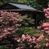 題名「拾翠亭の夏」