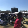 ２０１９　佐倉マラソン　１０キロ！！