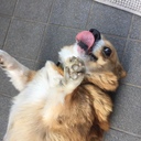 笑って過ごしたい（抑うつとつきあう）