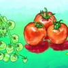 イチゴみたいな形をしたトマト