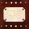 【楽曲紹介】ストレイ・ドッグ（STRAY DOG）「Tramp (How It Is)」