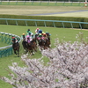 桜花賞　2019年