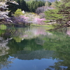 リフレクションが美しい、福島県の「水鏡桜」10選