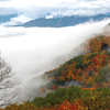 　精米に山梨へ