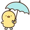 防水グッズ！☂️