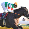 競馬初心者必見☆馬券予想🔥〜東スポ杯2歳S〜少頭数ながら揃ったメンバー