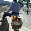 三浦海岸に自転車で