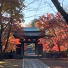 赤く染まった東漸寺