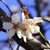 2月15日生まれのあなたへ🥰