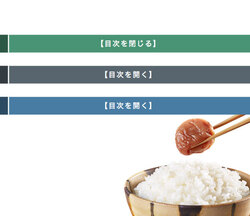 はてなブログの目次機能にスライド式の開閉ボタンを付けてみよう！目次だけじゃなくてアレもコレも？